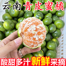 正宗云南青皮蜜桔橘新鲜5斤应当季时令孕妇水果整箱绿青皮柑橘子