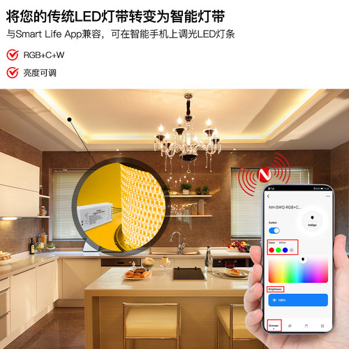 zigbee Tuya smart home light strip driver app timing voice RGBCW smart light strip driver