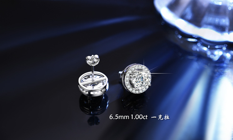 DSC_1321 拷贝_副本_副本