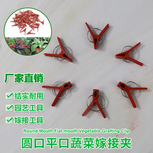 50���߲˼޽ӊA�S�ϊA������ϼ޽ӊA�A��ƽ�����Ӽ޽����ϊA�ӏS