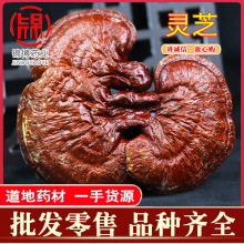 长白山灵芝干货 整枝赤灵芝整朵林芝泡酒茶煲汤可切片中药材批发