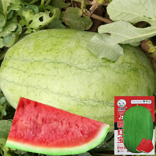 �S�����l�ش��¼t�����ϷN�����t����Ʒ�N�������r��ˮ��ͥԺ����