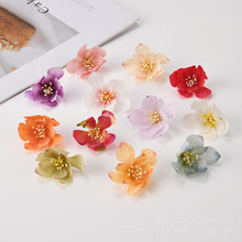 �����m��õ�廨�^�ʯõ�廨�^��ջ��^��춻�c��Y�b�Ӱ���b�