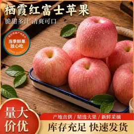 牛肉零食;苹果;酱卤类