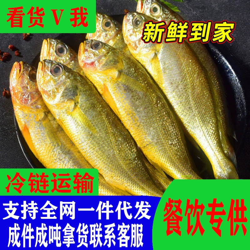 Свежевыловленный маленький желтый краб от рыбаков, замороженный большой и маленький желтый краб, глубоководная рыба, свежие морепродукты, SF Express.