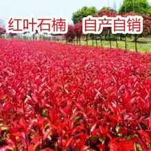 t~ʯ骘Сt_etļGh@ͥԺ̾Gľ