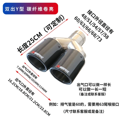 Exhaust pipe Car Modification Exhaust Pipe Scorpio - double-y-shaped-carbon-fiber-curled-surface-replacement-of-original-parking-space