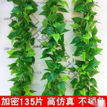 ��ˮ�����ړ��b��{��ˮ�ܷ���Gֲ�p�@���ϼٻ������ڳ󉾵���