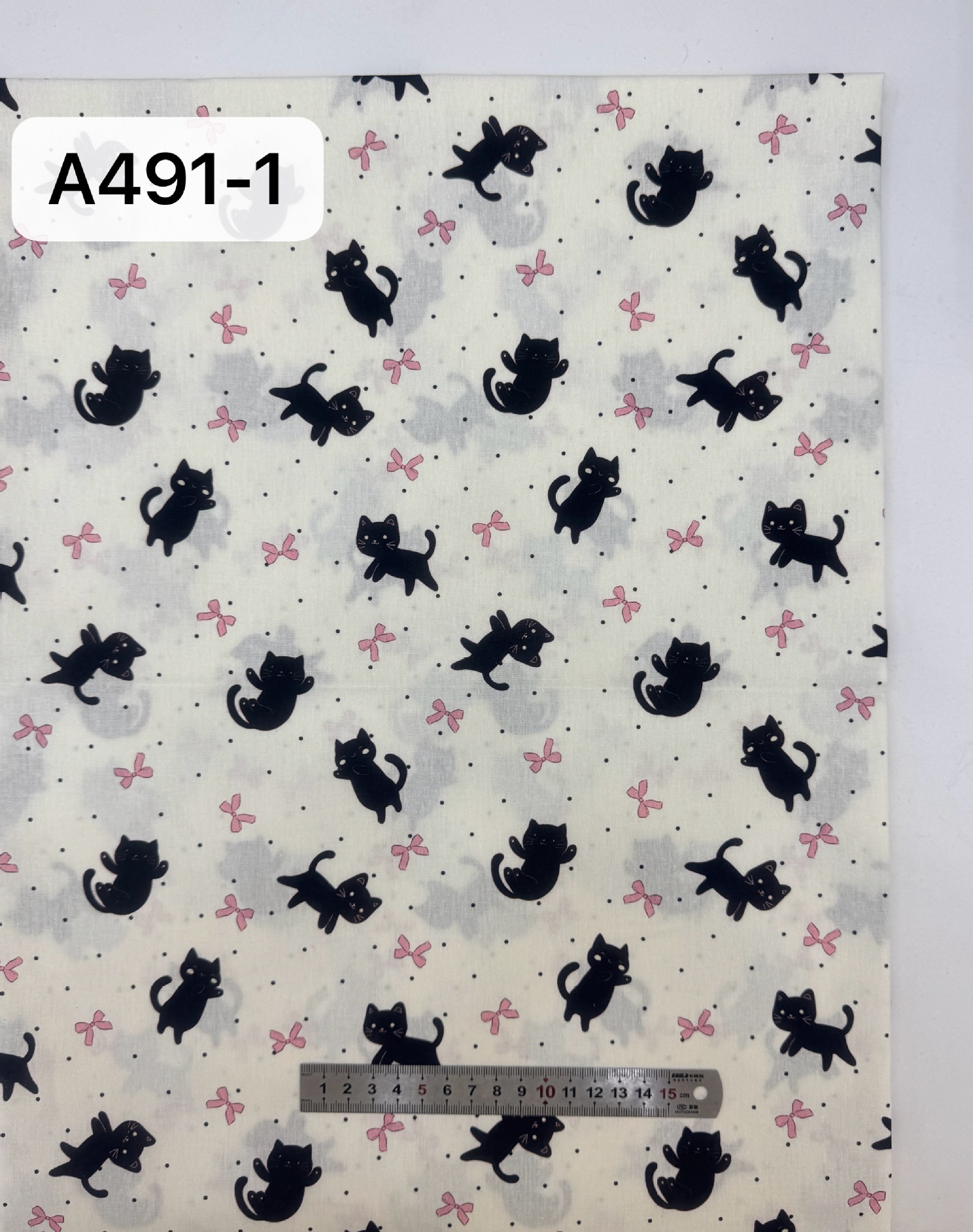 A491-1