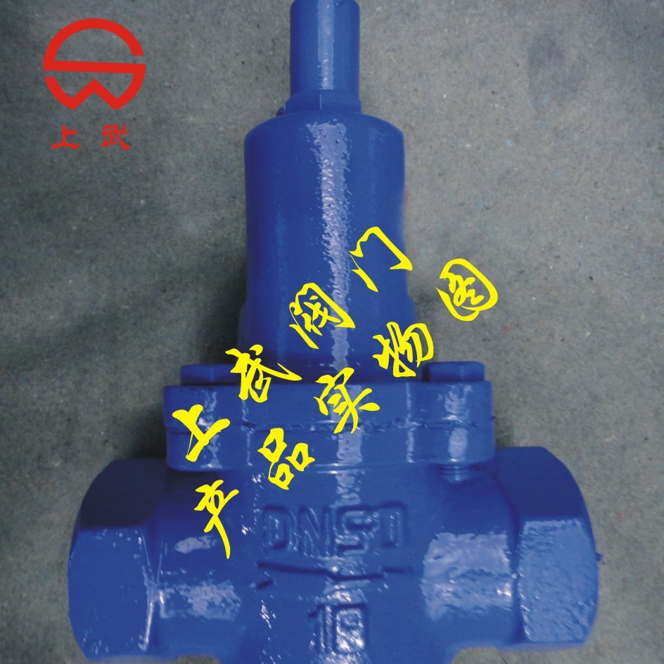 供应Y110第二代减压稳压阀