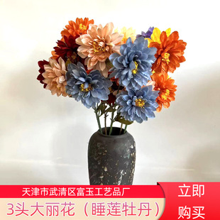 3�^�������Ҿ��b͏d˯ɏĵ�����滨��Y�zӰ�ٻ����l���滨��