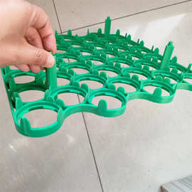 装鸭种蛋塑料蛋托  种蛋运输塑料盘 30枚鸭蛋托尺寸图片