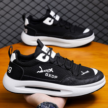 ��Ь2026�����¿��w��Ь͸��W��Ь���ľW�t�r���\�����eЬ����