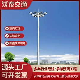 路灯;景观灯;太阳能灯