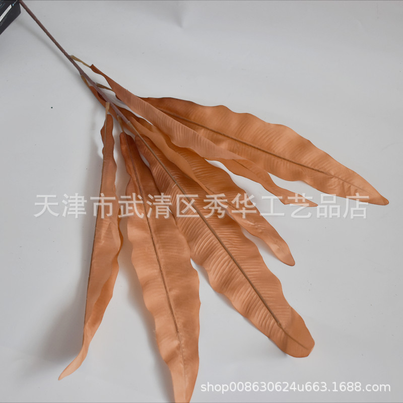 둥지 잎 높이 110cm