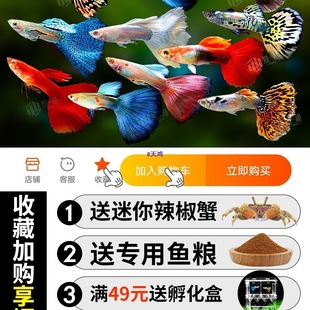 ��ȸ�~���w�Pβ��ˮ������w�Y��С�͟Ꭷ�^�p�~���N��ȸ�~̥���~