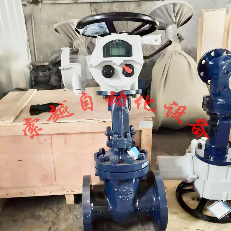 索越智能一体式电动法兰闸阀Z941H-16C DN300多回转 电压DC24V