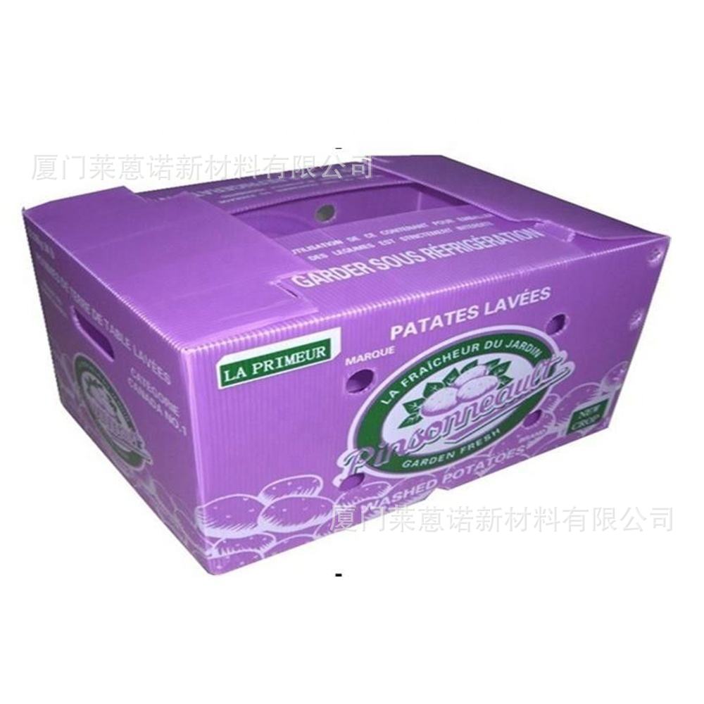 Caja de frutas y verduras de placa hueca pp personalizada plegable impermeable frutas y verduras frescas de transporte de cadena de frío Caja de plástico de calcio image 33