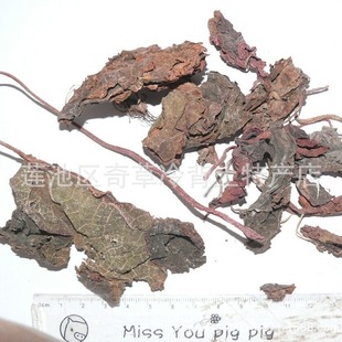 �t���,�t����~,�t�~,�tˮ��,��ș���ﺣ�Ŀ�ֲ���ϱ�������o�~