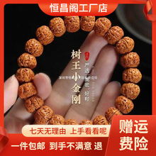 �S�Ұ��]��������С�����������ִ�������ʿ����ԭ�ѷ���W���P��