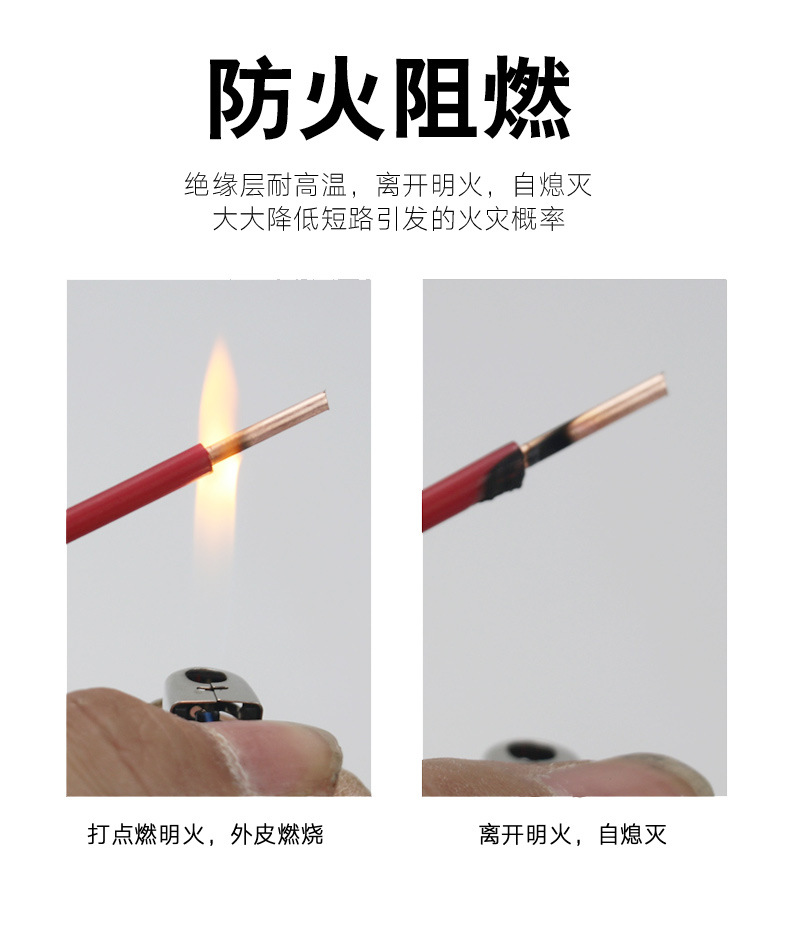 广东珠江BV_08.jpg