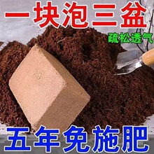 海南正宗养花种菜必备椰砖大块脱盐通用型椰糠粗椰壳无盐无菌土椰