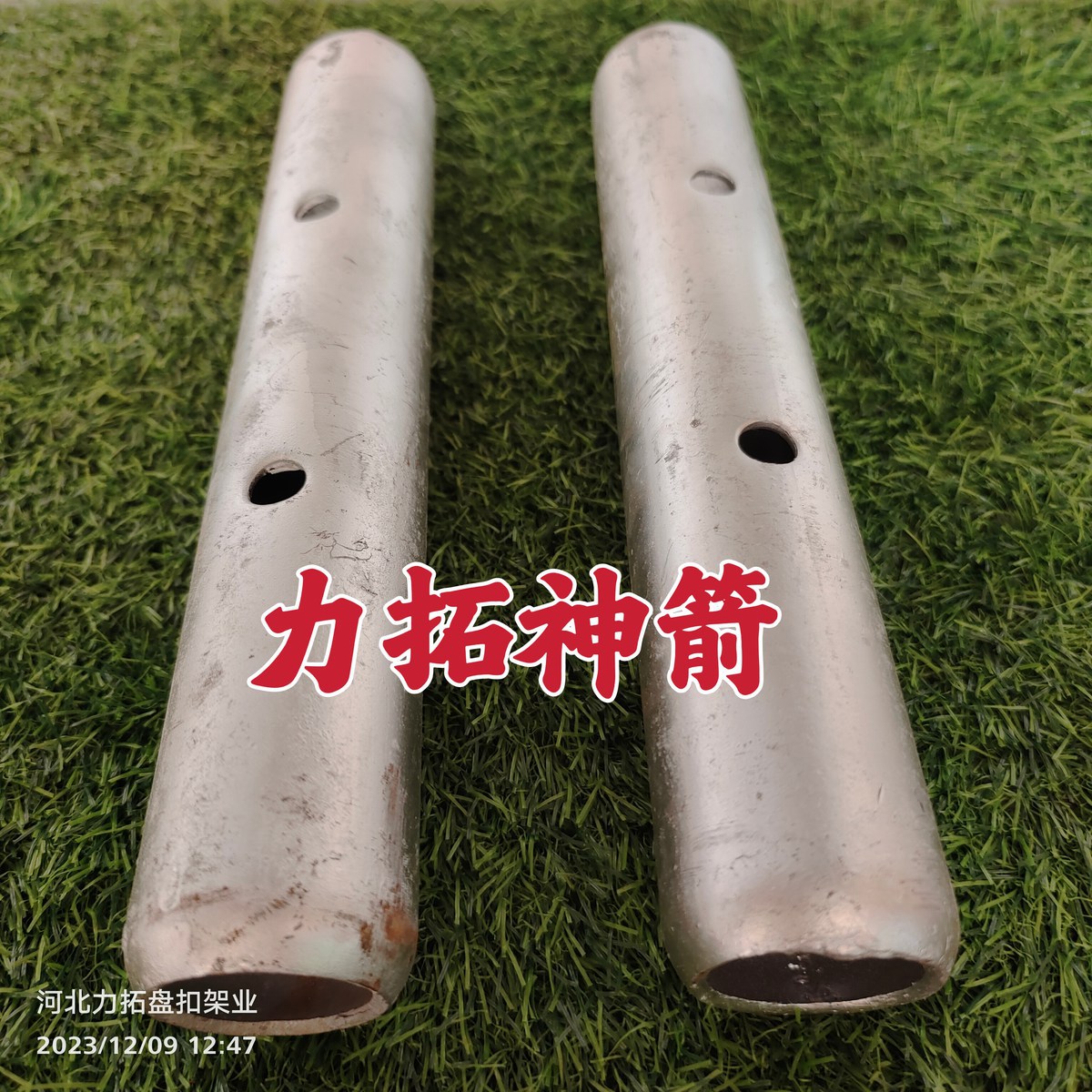 微信图片_20231209125229