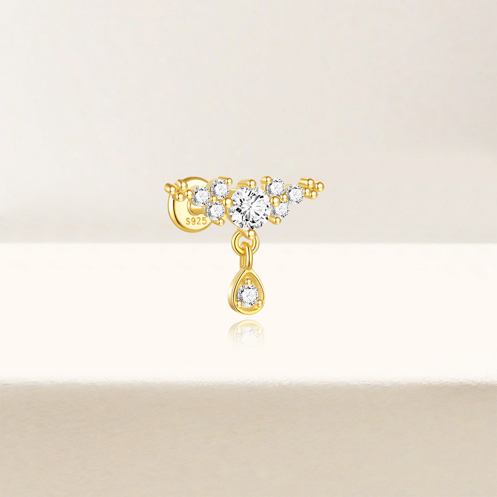 2g Weight Ear Studs Classification Ear Cartilage Rings & Studs Piercing Type 1 Piece Quantity Daily Occasion 925 Sterling Silver Material Flower Pattern All Seasons Season Women's Gender Plating Design Elegant, Simple Style Style 1 Piece Ear Cartilage Rings & Studs Elegant Simple Style Flower 925 Sterling Silver Plating Ear Cartilage Rings & Studs 12