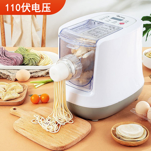 Export 110V Household Noodles Machine Intelligent Automatic Multifunctional Noodles Presser and Noodles Kneading American Small Household Appliances