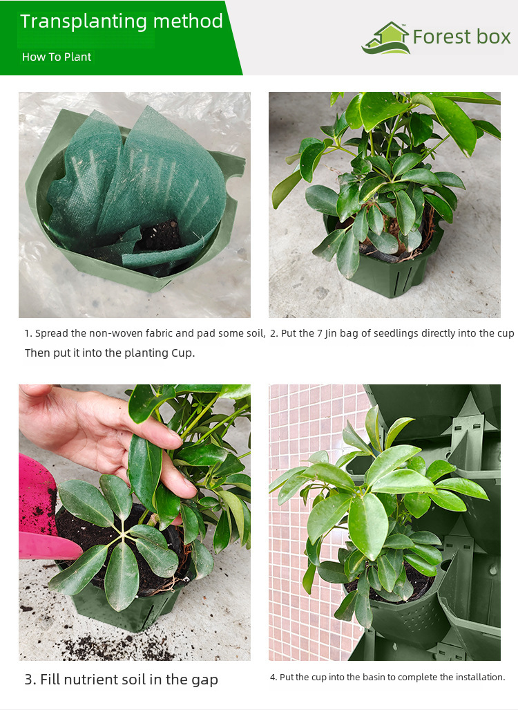 Hanging Plant Pot Image 14