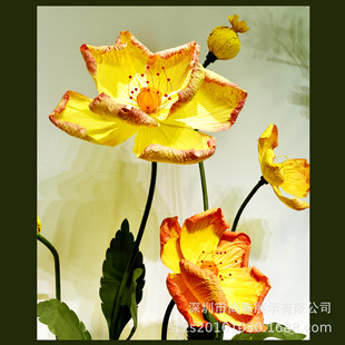 �������}�ֹ���ˇ�Gֲ�����b��̈�չ����̨�����������ˇ�g����