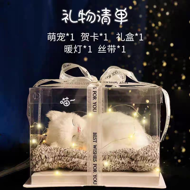 Regalos de Día de San Valentín, novia, novia, regalo de cumpleaños, muñecas de simulación de animales llamarán gatos.