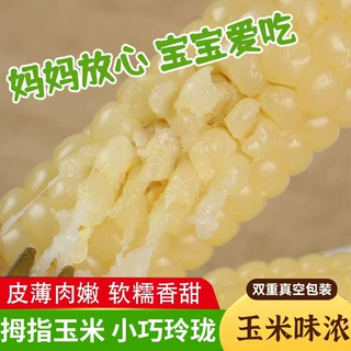 云南西双版纳拇指小玉米粒新鲜傣家老品种真空即食代餐手指