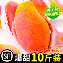 海南贵妃芒果新鲜10斤水果应当季整箱包邮树上熟大果酸脆辣椒芒果