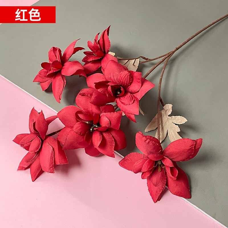 레드 6 헤드 시안