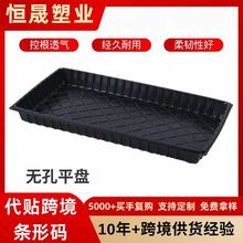 育苗托盘玉米辣椒无孔有孔平盘蔬菜盒多肉阳台园林扦插加厚育苗盘