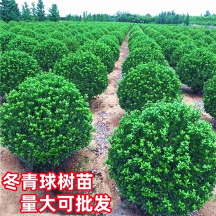 �ļ����ඬ������ͥԺ�G�������h�ʘ���ľ���~�������ͺ��ļ�����