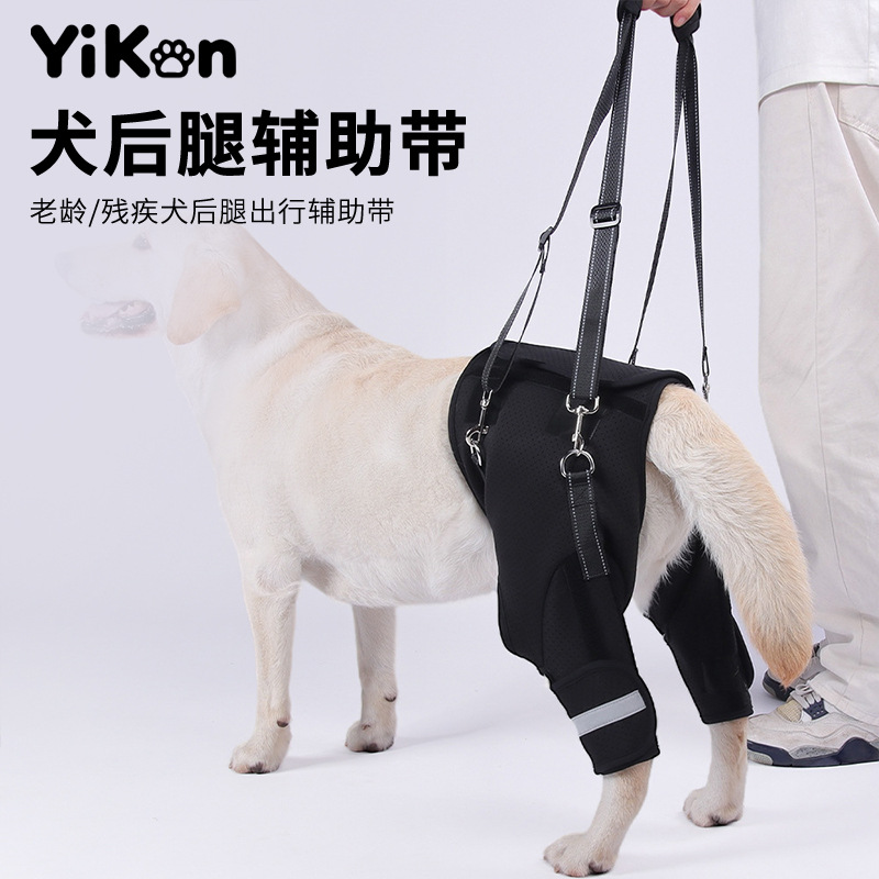 Cross-Border Wholesale Specialized in Rear Leg Support Belts for Dogs, Rehabilitation Travel Harnesses for Elderly and Disabled Dogs, and Rear Leg Lifting and Traction Ropes