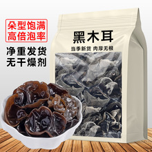【只卖净重】东北野生黑木耳干货野生小碗耳肉厚无根黑木耳香菇