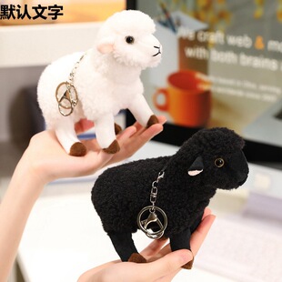 �羳��ͨ��ɫС����ë�q��߰�ɫС�d����ż�׃��@�������᲼ż