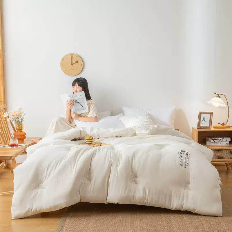 A类原棉纤维被子春秋被加厚冬被芯四季双人被子公司活动礼品被批