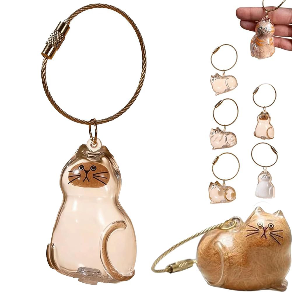 Caja de Almacenamiento Transparente para Pelo de Gato, Popular Transfronterizo, Cápsula para Guardar Pelo de Gato, Bolsa Conmemorativa, Llavero, Colgante para el Cuidado del Gato