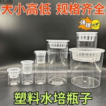 ͸������ˮ�໨��A���Ύ���ֲ�@��ˮ��ˮ���߲˶��ӷN�ӻ��ܾGֲ