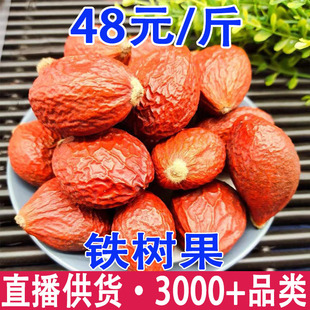 �F��� �F���� �P�˵� �F�������l���l