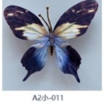 模擬 3D 蝶の花模擬造花 DIY 蝶のカラフルな人気の蝶の装飾クリエイティブジュエリー工場卸売|undefined