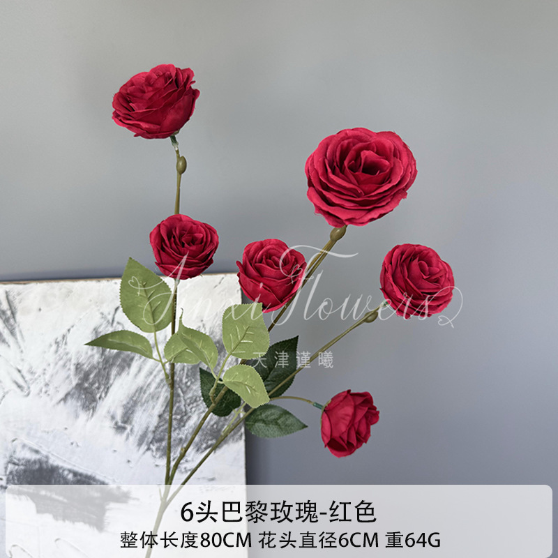 파리 장미 6송이