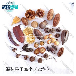 �ɹ�DIY�ֹ��׃��@�M�����b�[�����յ��߻����ϰ�����ɸɻ��ɹ�