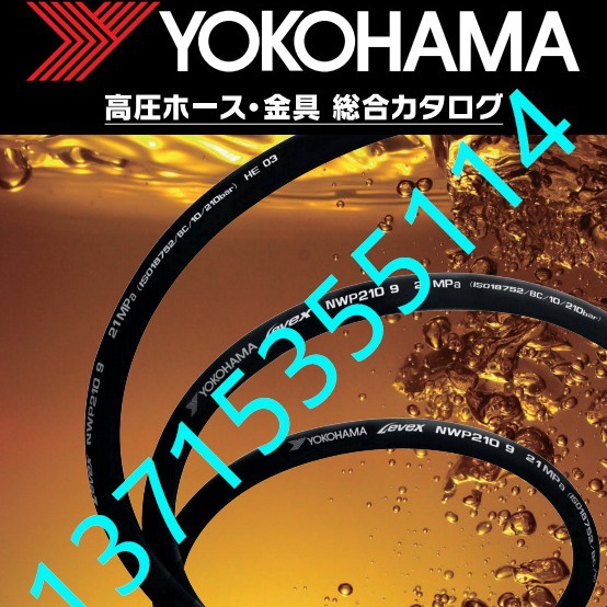 SpiraxSarco斯派莎克 减压阀 BRV2S