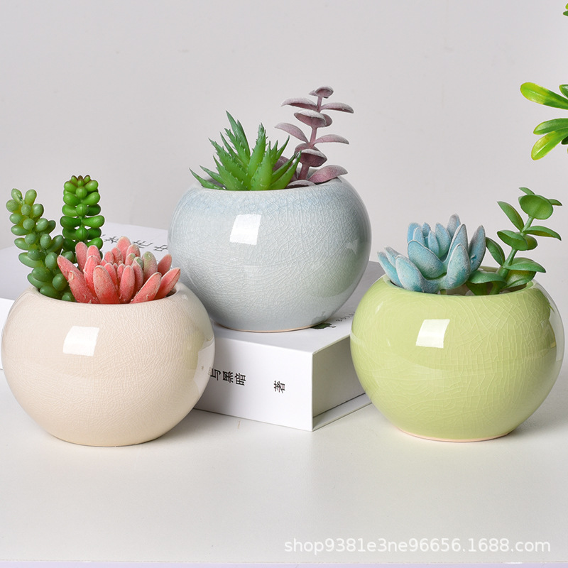Colorful small ball flowerpot small fresh ceramic fleshy flowerpot creative now simple flower insert cross-border export wholesale