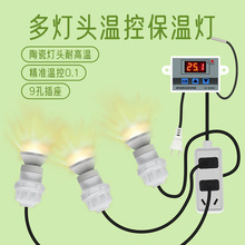 养殖用品灯泡芦丁鸡保温灯卢丁鸡取暖灯专用小鸡孵化灯育雏畜牧灯